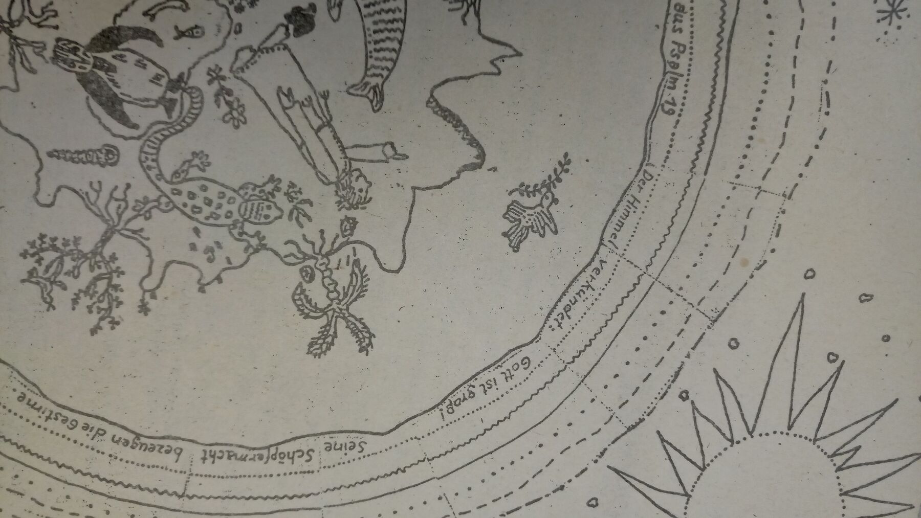 LKANK_Cover_Umwelt_Detail